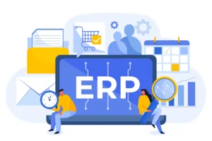 ERP System work