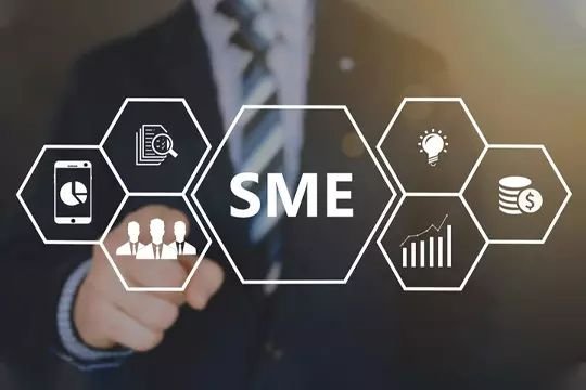 You are currently viewing ERPNext for Business Growth: A Smart Investment for SMEs